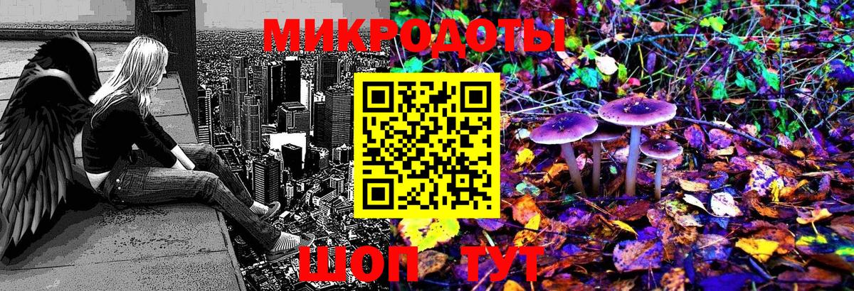 Псилоцибиновые грибы GOLDEN TEACHER Дятьково