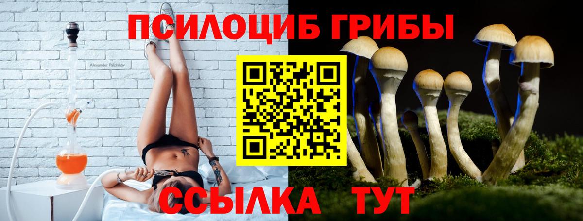 где купить   Вход с VPN  Дятьково  Псилоцибиновые грибы Magic Shrooms 
